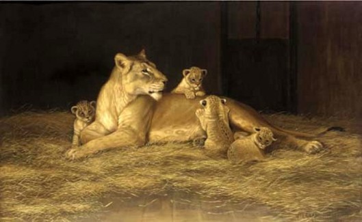 Lioness And Her Cubs