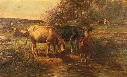 Cows By A Pond