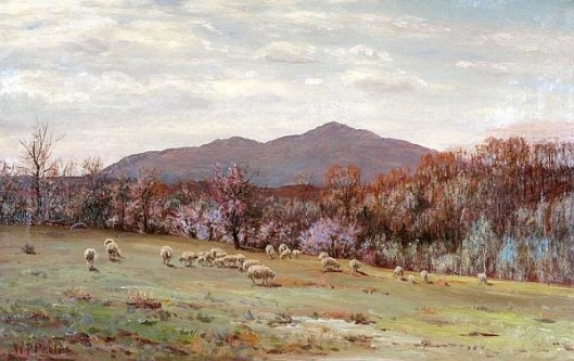Mount Monadnock Landscape With Sheep Grazing