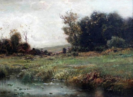 Pond Landscape